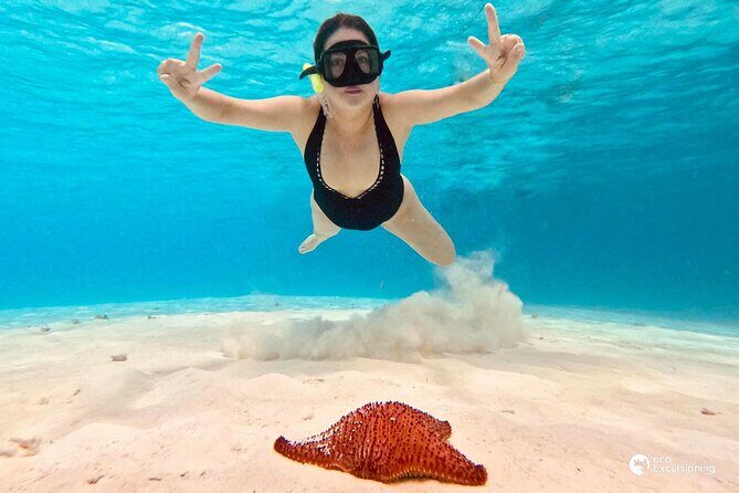 Boat Tour to Heaven in Cozumel with Ceviche - The Experience in Practice: Pros and Cons