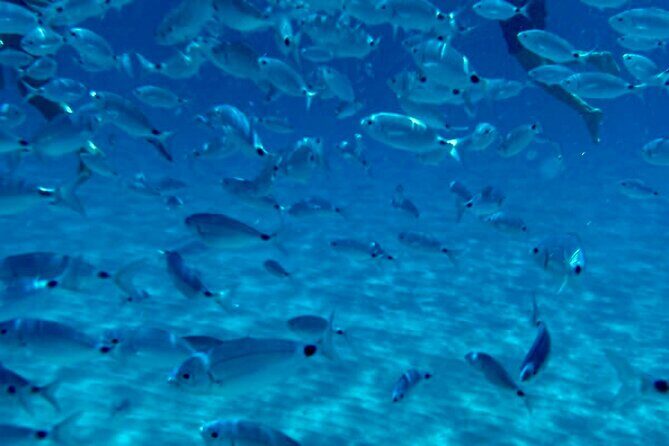 Boat Tour to Sella del Diavolo: Snorkeling, GoPro & Beer - The Itinerary: What You Can Expect