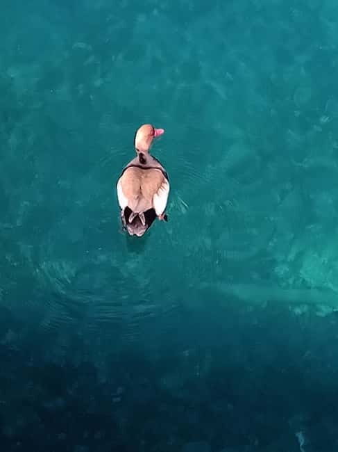 Boat tour:isola bella taormina - Practical Details and Considerations