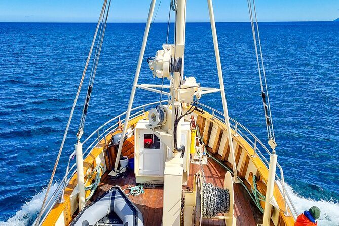 Boat Tours from Siglufjörður - Authentic Traveler Impressions and What They Reveal