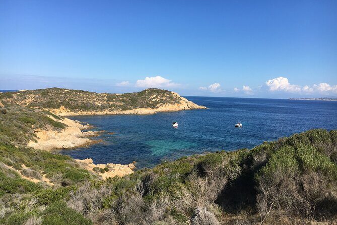 Boat Trip and Snorkeling in the Gulf of Calvi - Final Thoughts: Who Will Love This Tour?