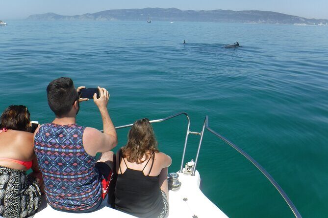 Boat Trip for Dolphin Watching along the Arrabida Coast and Sesimbra - Price and Value
