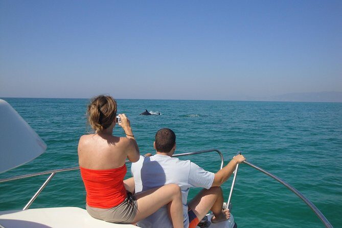 Boat Trip for Dolphin Watching along the Arrabida Coast and Sesimbra - Who Will Love This Tour?