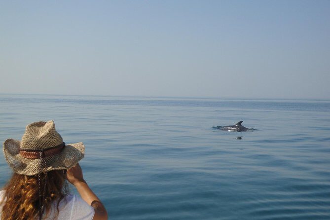 Boat Trip for Dolphin Watching along the Arrabida Coast and Sesimbra - Final Thoughts