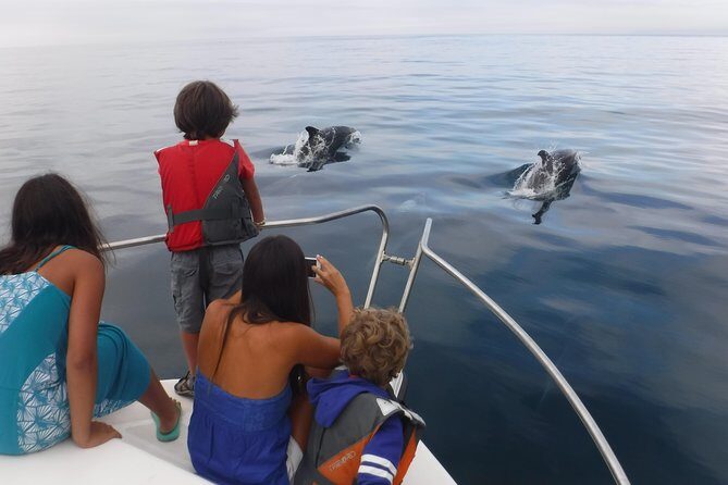 Boat Trip for Dolphin Watching along the Arrabida Coast and Sesimbra - FAQs