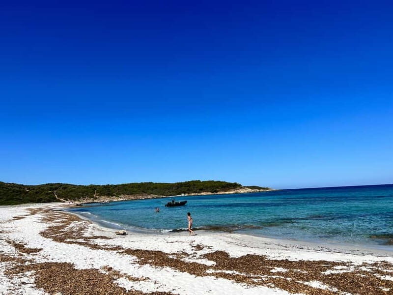 Boat trip from Calvi to the Agriate Desert - What Makes the Beaches Special