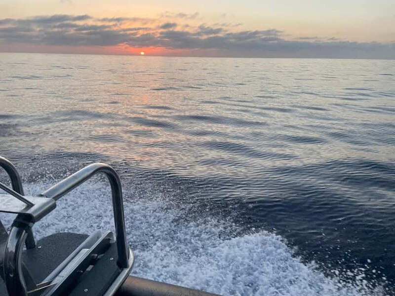 Boat trip from Calvi to the Agriate Desert - Who Is This Best For?