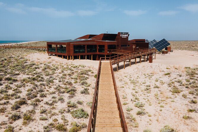 Boat trip from Faro to Ilha Deserta by Ferry - The Sum Up