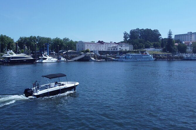 Boat Trip in Douro Porto - Practical Details You Should Know