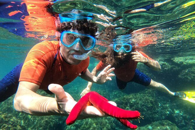 Boat trip Isola Bella with snorkeling - FAQs