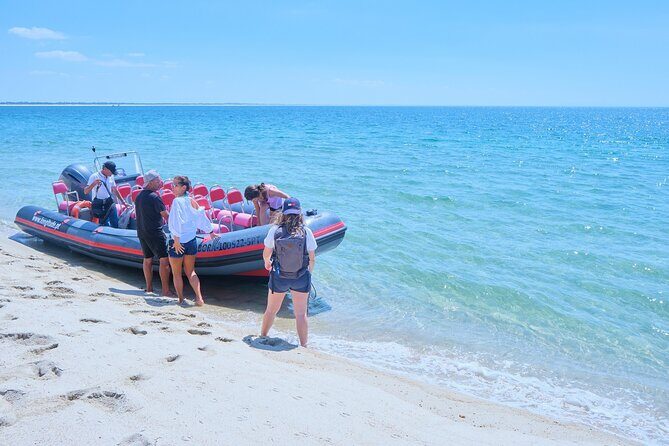 Boat trip to Foz do Sado, Troia and Arrábida, Setúbal - Key Points