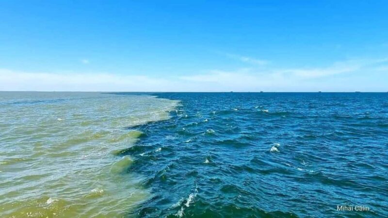 Boat trip to the Danube's mouth at the Black Sea - Exploring the Experience
