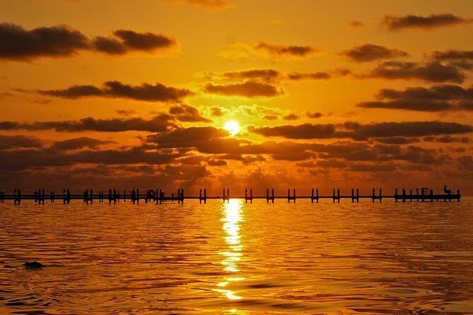 Boca Grande Inshore Fishing Charter - Setting the Scene: What to Expect on the Tour