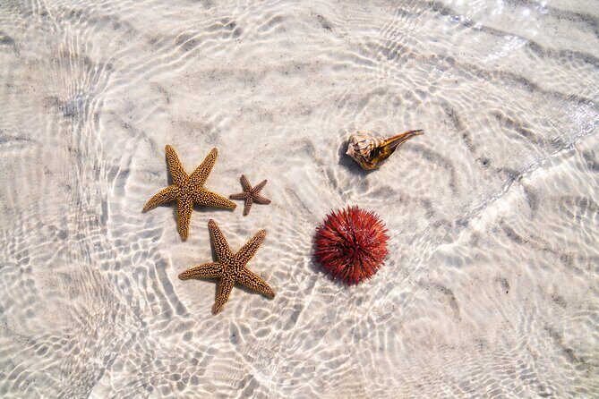 Boca Grande Kayaking Tour - Final Thoughts