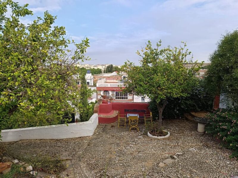 Bodega Halcón Winery Tour with Wine Tasting South of Seville - Final Thoughts: Is It Worth It?