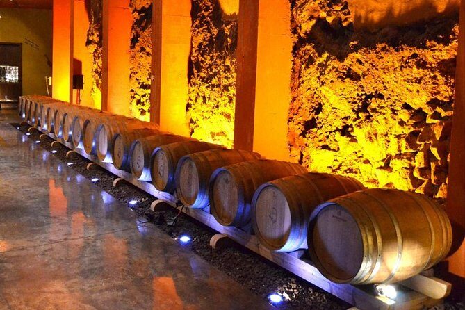 Bodegas Monje Winery Ticket w/Wine Tasting & Mojo Sauce Workshop - FAQ