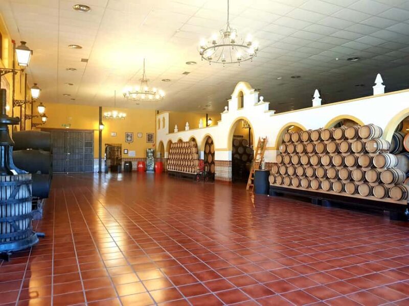 Bodegas Quitapenas: Guided Visit + Wine Tasting - Key Points