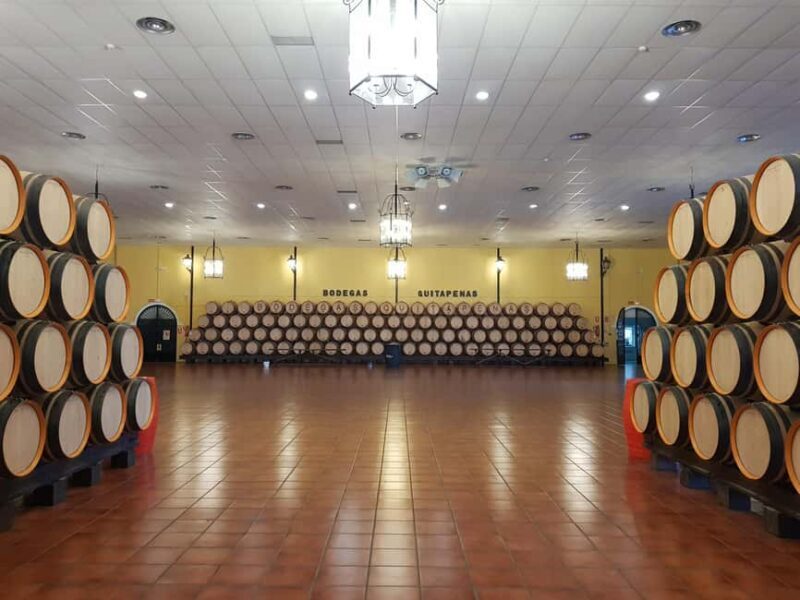 Bodegas Quitapenas: Guided Visit + Wine Tasting - An Honest Look at What to Expect