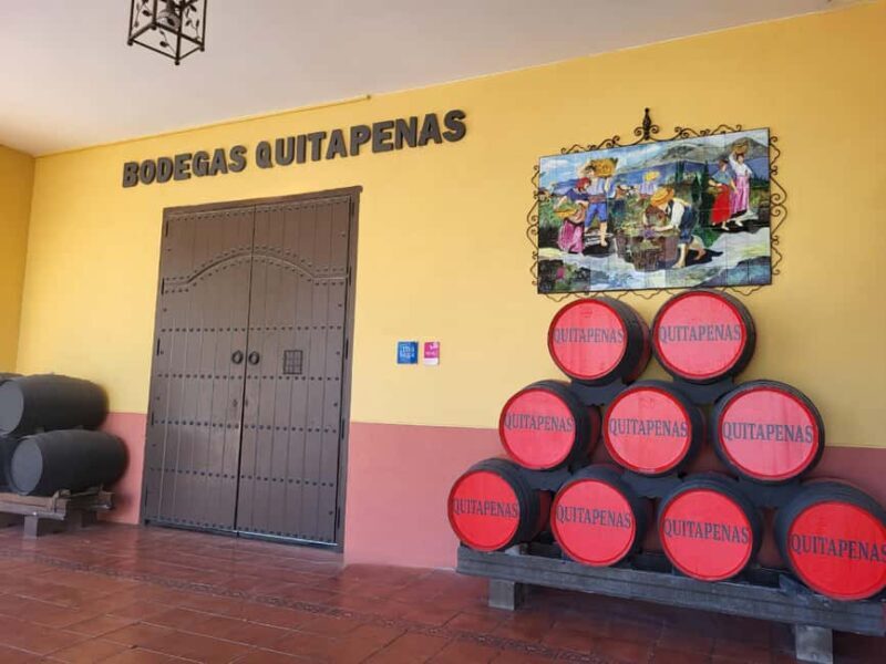 Bodegas Quitapenas: Guided Visit + Wine Tasting - Frequently Asked Questions