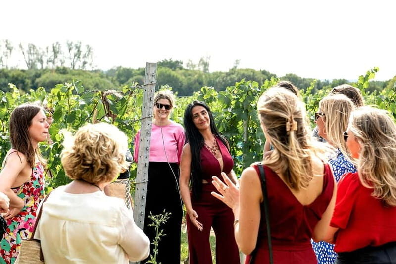 Bodiam: Vineyard Tour and Wine Tasting Experience - Key Points