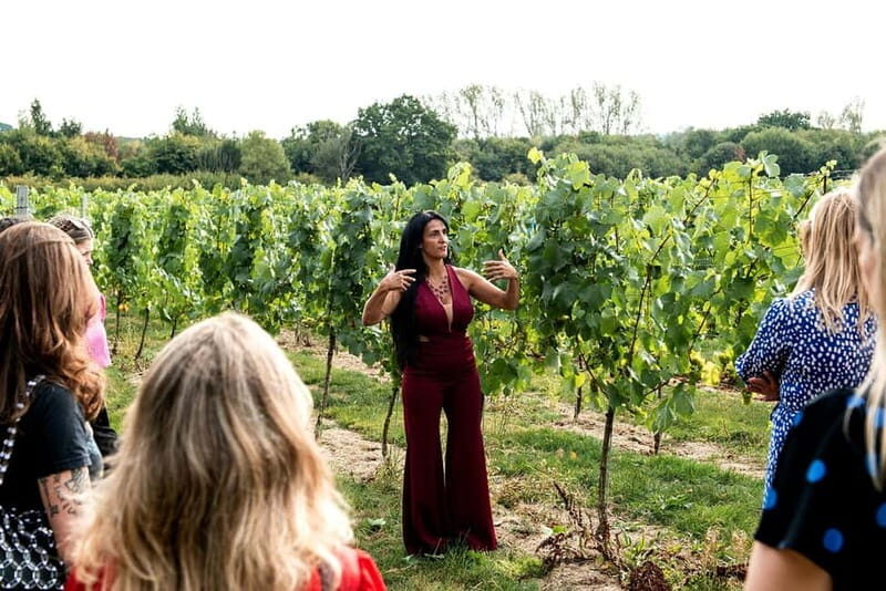 Bodiam: Vineyard Tour and Wine Tasting Experience - Practical Details to Keep in Mind