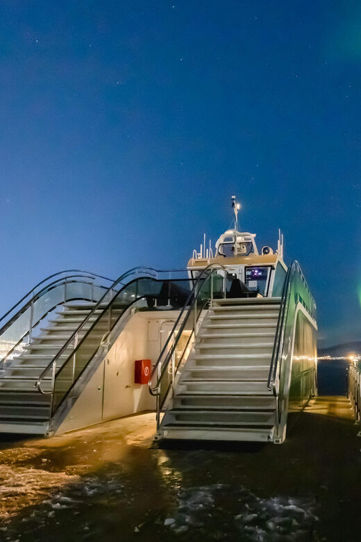 Bodø: Northern Lights Cruise - The Sum Up