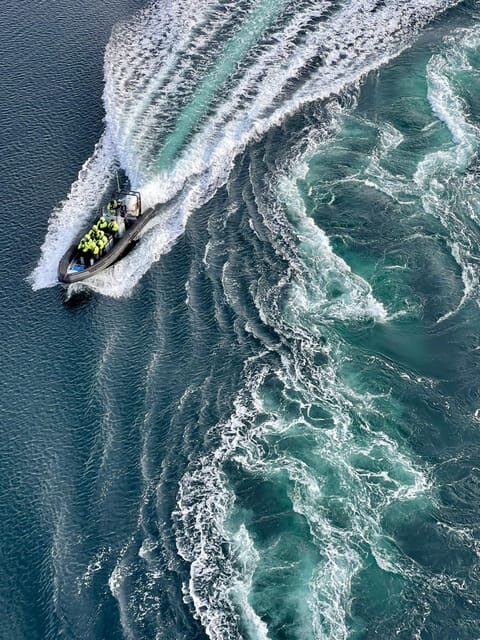 Bodø: Saltstraumen RIB Safari - What Is the Saltstraumen RIB Safari?