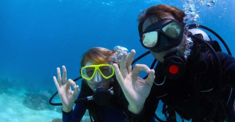 Bodrum: Full-Day Scuba Diving Tour - Key Points