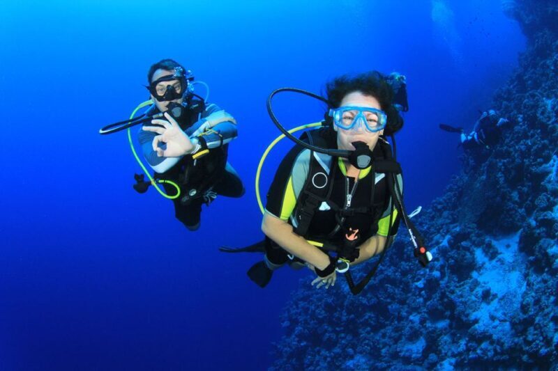 Bodrum: Full-Day Scuba Diving Tour - An Honest Look at the Bodrum Full-Day Scuba Tour