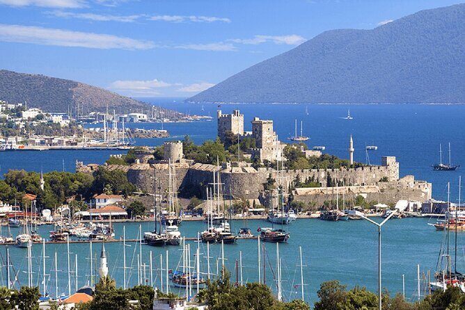 Bodrum Fullday Private Tour with Licenced Guide & Dlx Van - The Real Value: What You’re Paying For