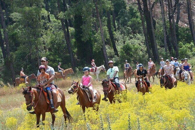 Bodrum Horse Riding Experience w/ Hotel Transfer Service - What to Expect from the Bodrum Horse Riding Tour