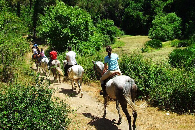 Bodrum Horse Riding Experience w/ Hotel Transfer Service - The Ride and the Scenery in Detail