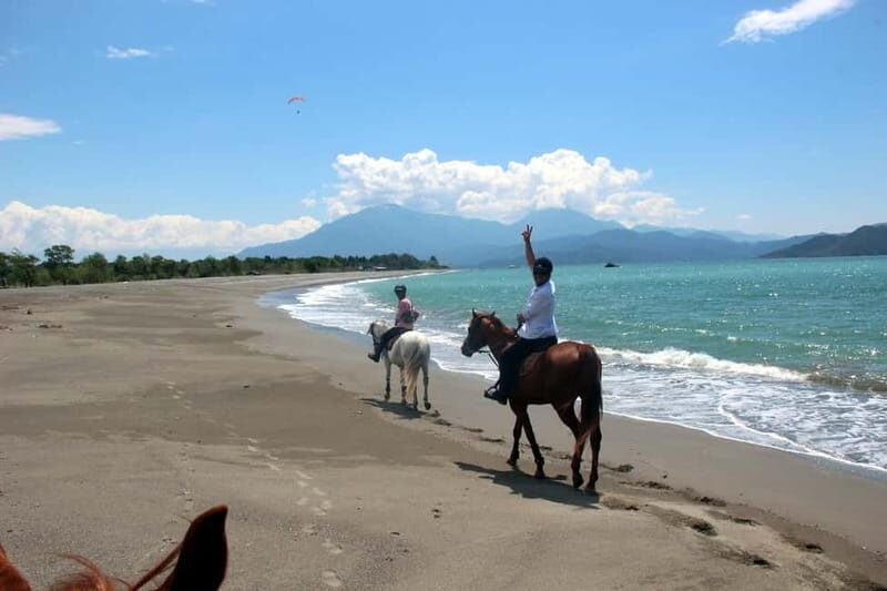Bodrum: Horseback Riding Experience with Hotel Transfer - What the Tour Offers