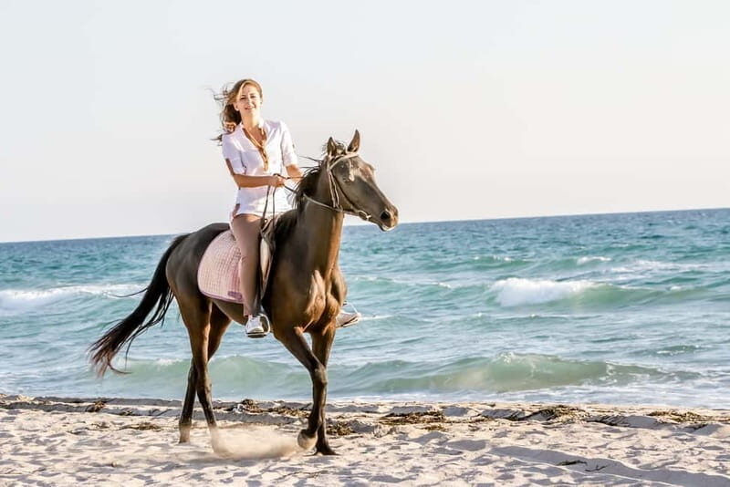 Bodrum: Horseback Riding Experience with Hotel Transfer - Practical Details and What to Keep in Mind