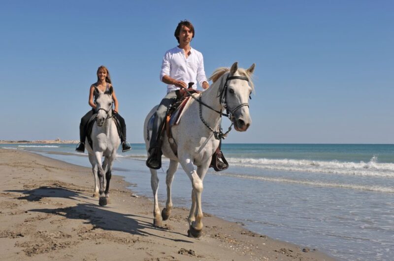 Bodrum: Horseback Riding Experience with Hotel Transfer - FAQs