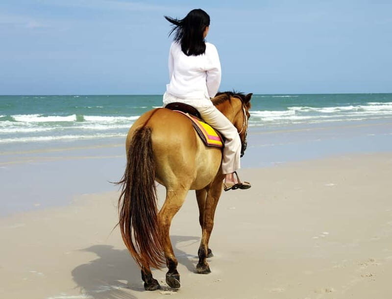 Bodrum: Horseback Riding Experience with Hotel Transfer - The Sum Up