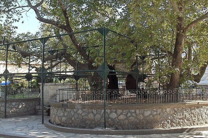 Bodrum Kos Same Day Return Ferryboat Ticket from the castle port - Final Thoughts