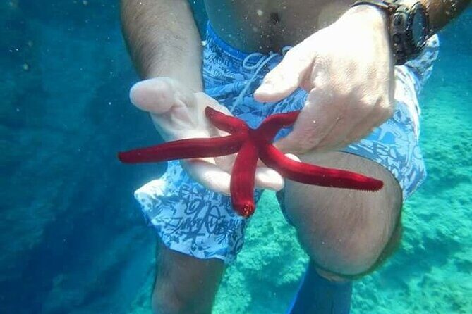 Bodrum Private Gulet Cruise with a Mediterranean Lunch - Final Thoughts