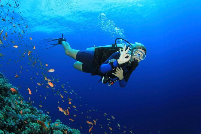 Bodrum Scuba Diving Tour With Free Hotel Transfer By Locals - Practical Considerations and Tips