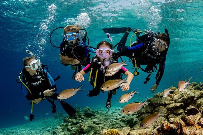 Bodrum Scuba Diving Tour With Free Hotel Transfer By Locals - Who Is This Tour Best For?