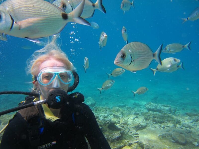 Bodrum: Scuba Diving Trip with Lunch - What to Expect from the Bodrum Scuba Diving Trip