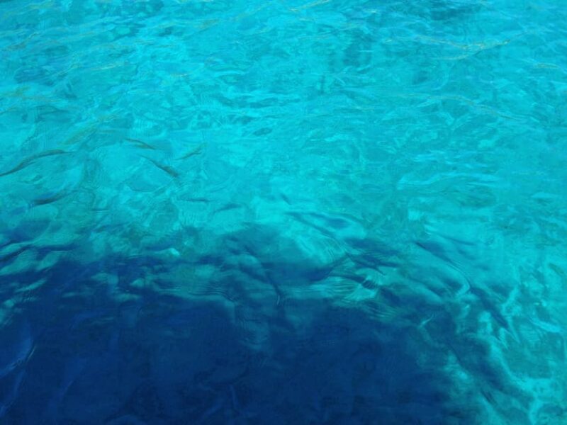 Bodrum: Scuba Diving Trip with Lunch - Who Should Consider This Tour?