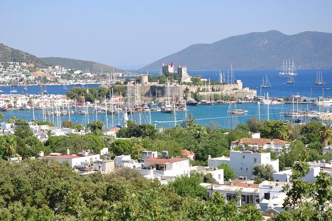 Bodrum Shore Excursion: Private Bodrum Express Sightseeing Tour - Key Points