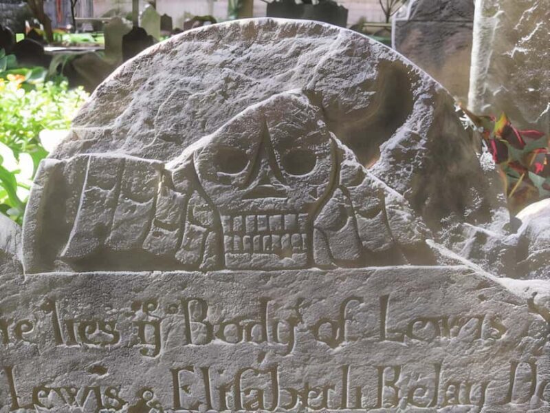 Body Snatchers of New York - Final Thoughts