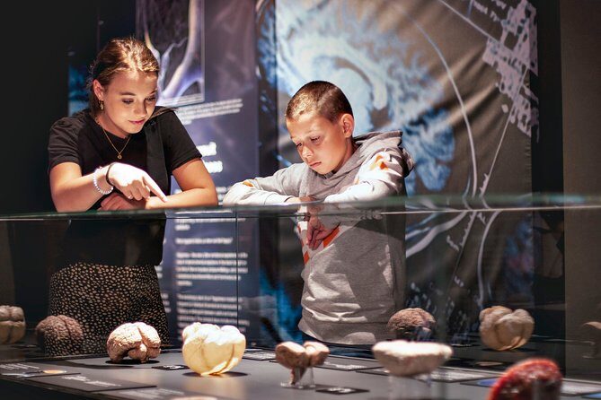 Body Worlds Amsterdam Fast-lane Ticket - What Is Body Worlds Amsterdam?