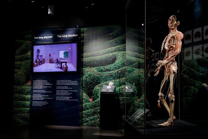 Body Worlds Amsterdam Fast-lane Ticket - Final Thoughts