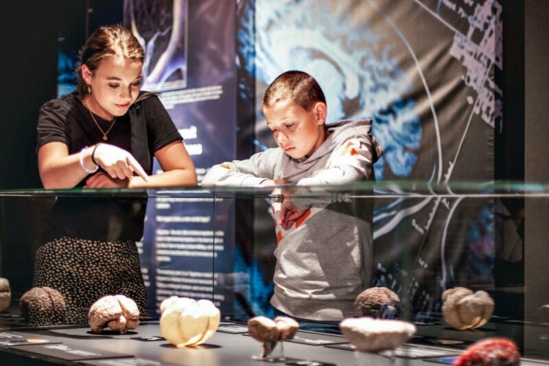 Body Worlds Amsterdam: The Happiness Project Ticket - Tips for Visiting