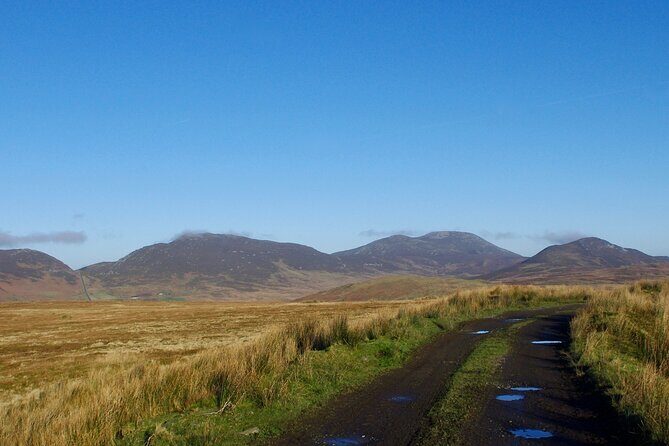 Bog Safari Hike - Panoramic Atlantic Views and Remote Beauty