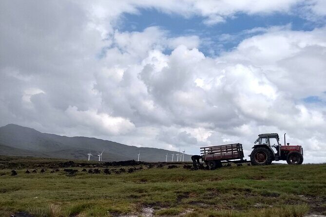 Bog Safari Hike - Price and Value Consideration