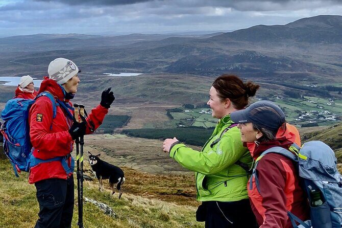 Bog Safari Hike - Who Is This Tour Best For?